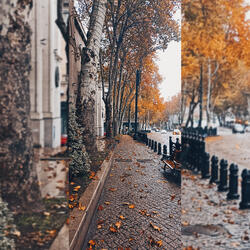 Вокруг всего