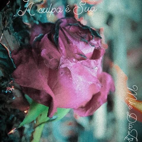 A Culpa É Sua