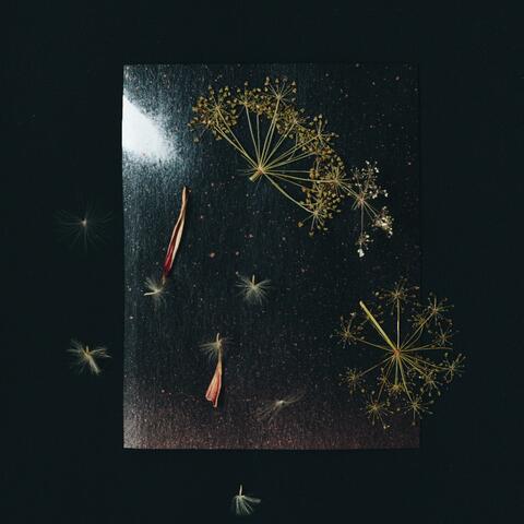 Neverland