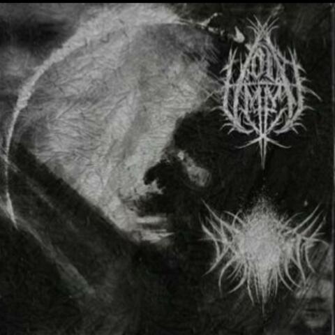 Void Me Vs Void It