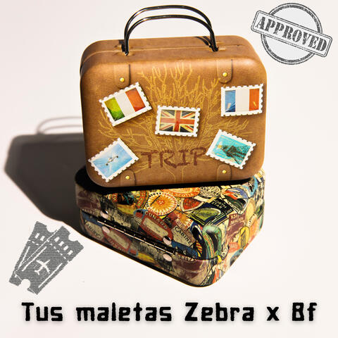 Tus Maletas