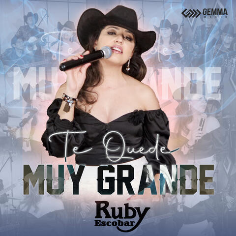 Te Quedé Muy Grande