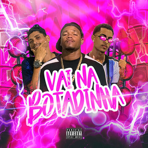 Vai na Botadinha Sem Parar