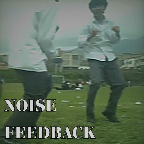 Noise Feedback