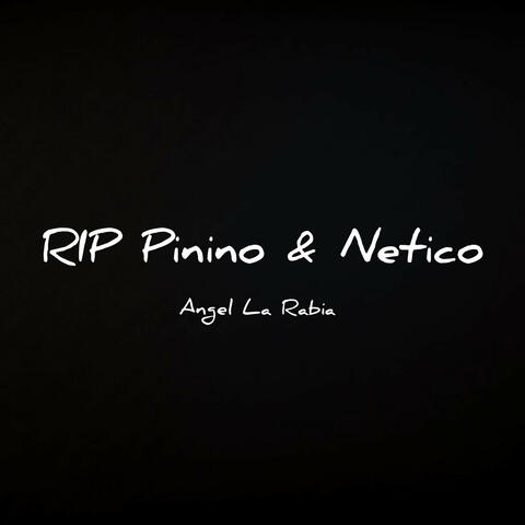 Rip Pinino & Netico