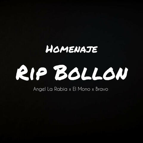 Homenaje Rip Bollon
