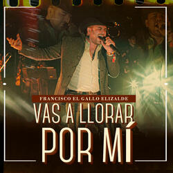 Vas a Llorar por Mí