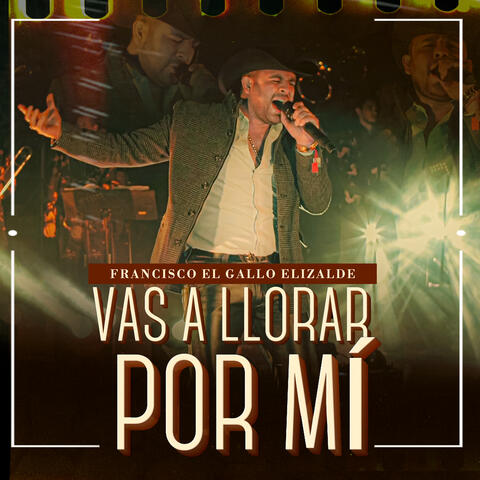 Vas a Llorar por Mí
