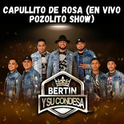 Capullito de Rosa