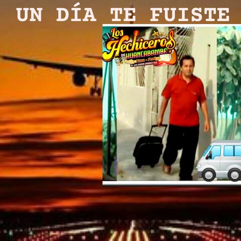 Un Dia Te Fuiste