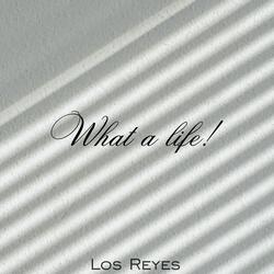 What a Life!