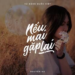 Nếu Mai Gặp Lại