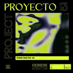 Proyecto 13