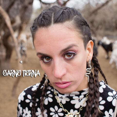 Carne Tierna