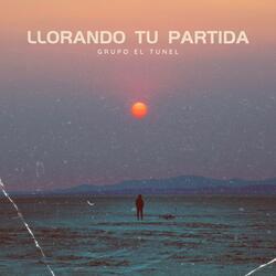 Llorando Tu Partida