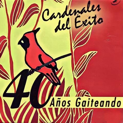 40 Años Gaiteando