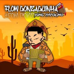 Flow Gonzaguinha