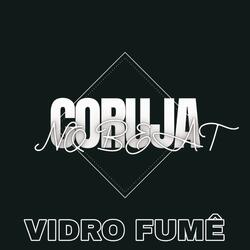 Vidro Fume
