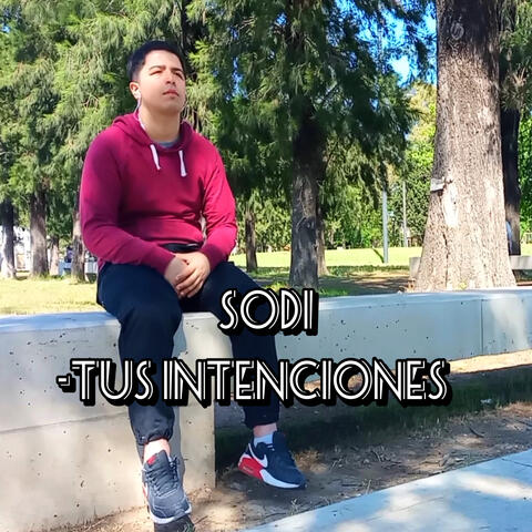 Tus Intenciones