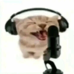 Meow
