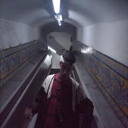 Instinto de los Pájaros