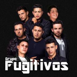 Amigos No por Favor