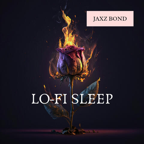 Sleep