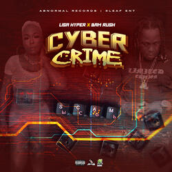 Cyber Crime