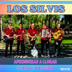 Aprenderas a Llorar  / Si Te Falta Alguien