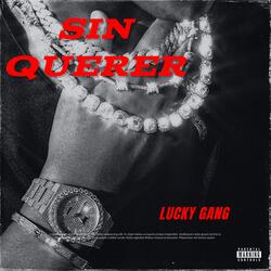 Sin Querer