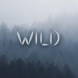 Wild