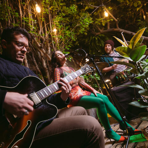 Tiny Plants Concerts