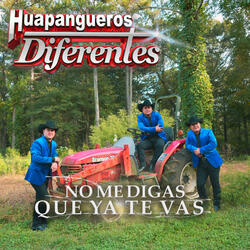 No Me Digas Que Ya Te Vas