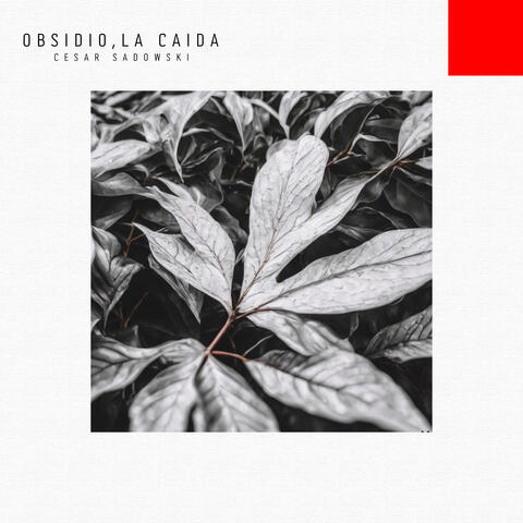 Obsidio,La Caida