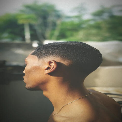 Jaca no Corte