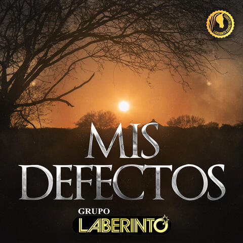 Mis Defectos
