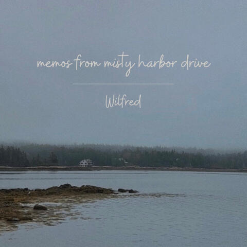 memos from misty harbor drive
