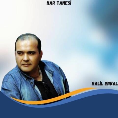 Nar Tanesi