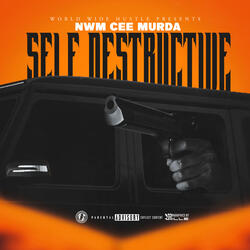 Self Destructive