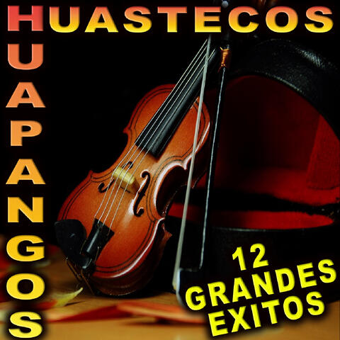 12 Grandes Exitos