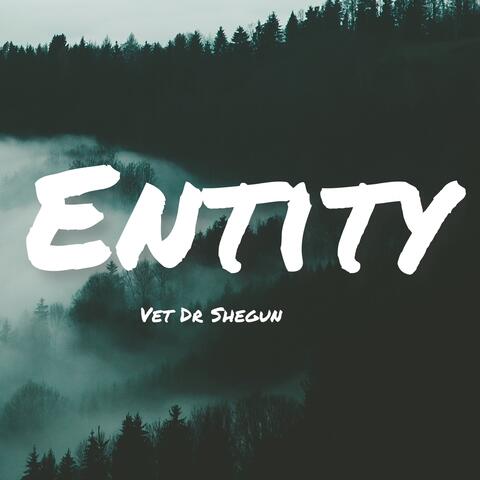 Entity