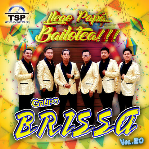Grupo Brissa