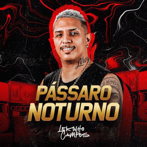 Pássaro Noturno
