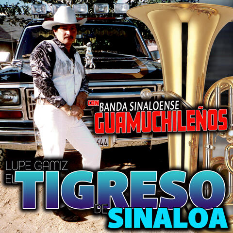 Con Banda Sinaloense Guamuchileños