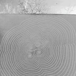 Белого дня покой