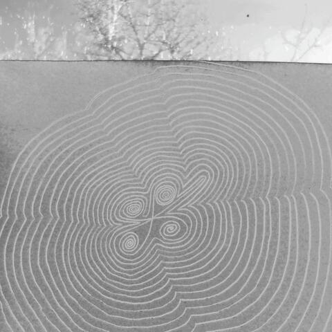 Белого дня покой