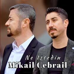 Ne İstedin
