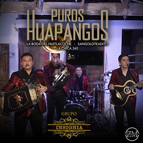 La Boda del Huitlacoche / Sangoloteadito / La Chica 240