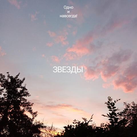 Звезды