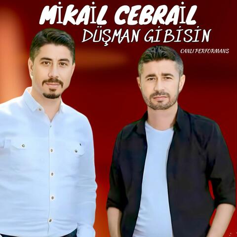 Düşman Gibisin